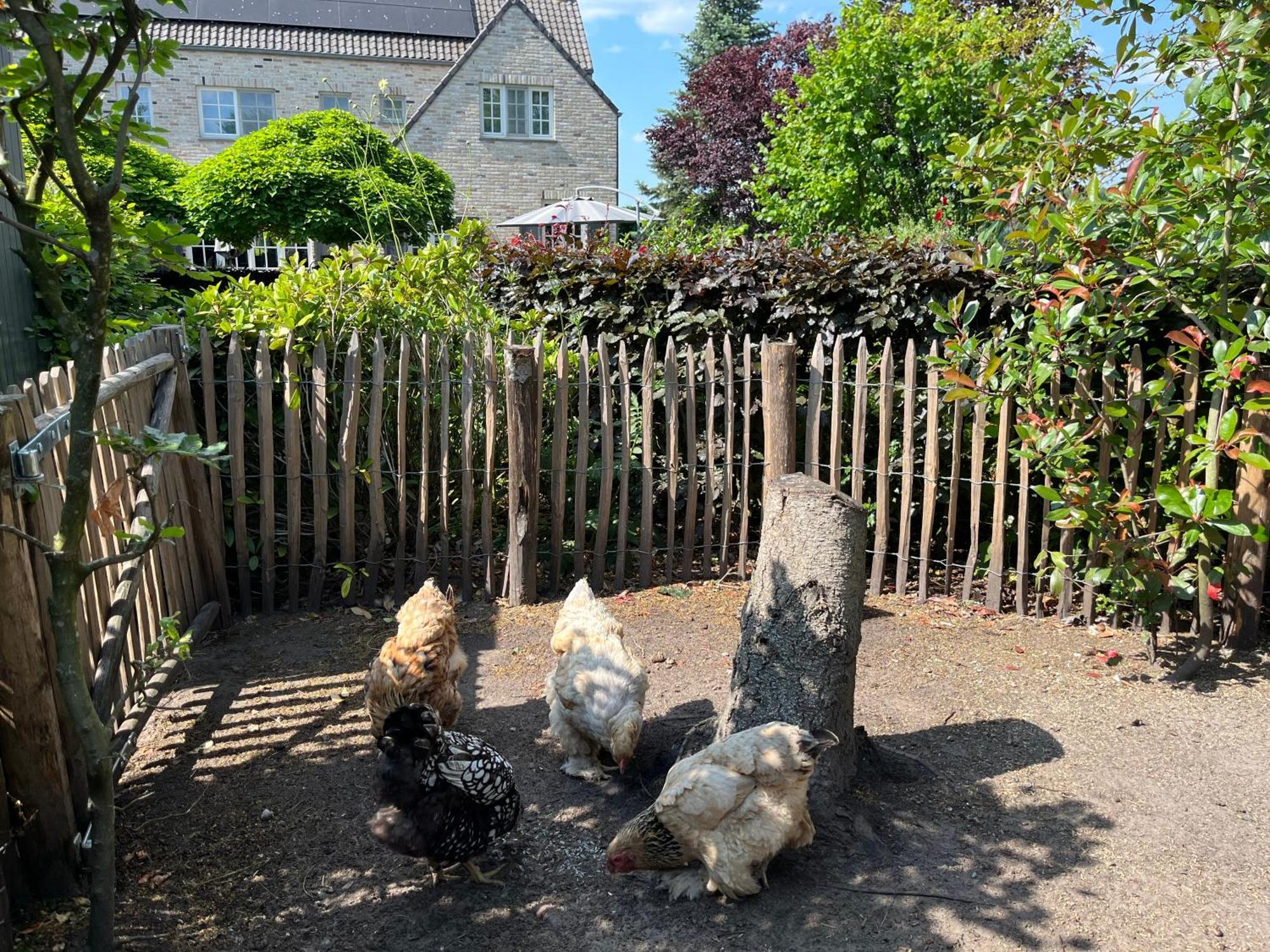 Sfeervol Familielandhuis In De Groene Kempen Baarle-Hertog Dış mekan fotoğraf